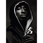 Подарочная книга величайший фотограф Альберт Уотсон The Vienna album Albert Watson варинант исполнения - 2 | Loft Concept в Брянске