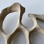 Блюдо «Бежевый коралл» варинант исполнения - 3 | Loft Concept в Брянске