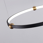 Люстра подвесная светодиодная черный металл Ring Horizontal варинант исполнения - 10 | Loft Concept в Брянске