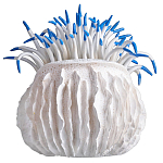 Статуэтка тропический фрукт Tropical Fruit White Blue варинант исполнения - 3 | Loft Concept в Брянске