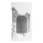 Встраиваемый в стену гипсовый светильник под покраску с эффектом разрушенной стены Antiquity Athena варинант исполнения - 2 | Loft Concept в Брянске