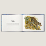 Лимитированная подарочная книга HERMES Fierce and Fragile book, English version варинант исполнения - 3 | Loft Concept в Брянске