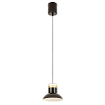 Подвесной светильник Celevis Black варинант исполнения - 2 | Loft Concept в Брянске