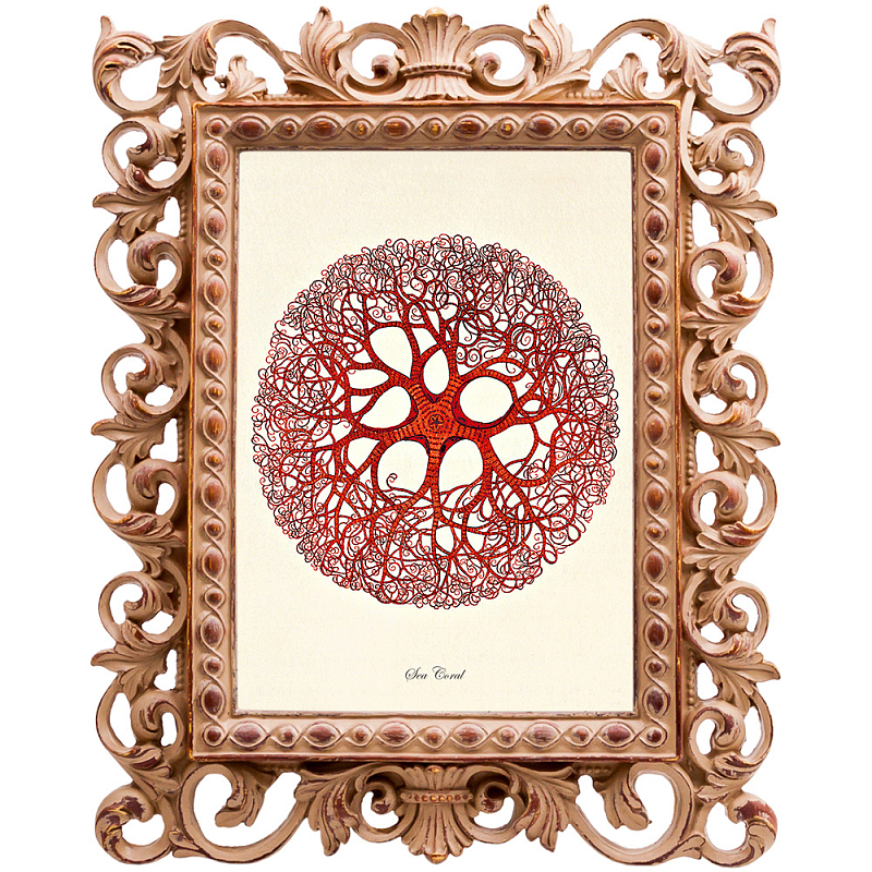 Постер Red Coral Poster 6 Бежевый Красный Постер Red Coral Poster 6 Бежевый Красный в Брянске | Loft Concept