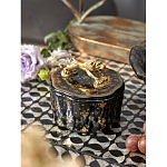 Шкатулка черного цвета с крышкой с фигуркой льва Eden Garden варинант исполнения - 6 | Loft Concept в Брянске