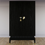 Платяной шкаф Elsa Dreams Black с 2-мя фасадами варинант исполнения - 4 | Loft Concept в Брянске