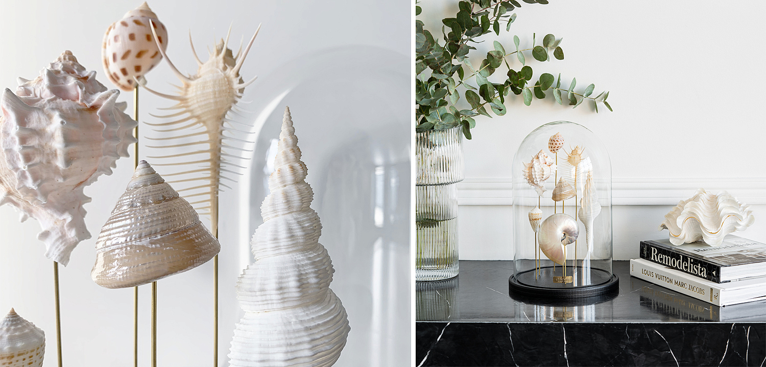 Статуэтка Shell Collection Glass Cloche 1 Статуэтка Shell Collection Glass Cloche 1 - Loft-Concept в Брянске