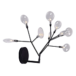 Бра в виде ветвей с прозрачными круглыми плафонами Moooi варинант исполнения - 2 | Loft Concept в Брянске