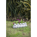 Кашпо Canaries варинант исполнения - 6 | Loft Concept в Брянске