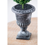 Декоративный искусственное растение Double boxwood варинант исполнения - 7 | Loft Concept в Брянске