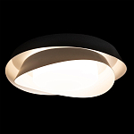 Потолочный светильник круглый черного цвета из металла Vita Cuna варинант исполнения - 1 | Loft Concept в Брянске