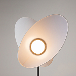 Напольный светильник Evolution 3000К 12Вт варинант исполнения - 5 | Loft Concept в Брянске