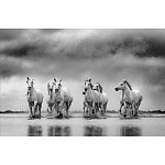 Книга Beusker. Look into my Eyes варинант исполнения - 4 | Loft Concept в Брянске