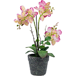 Декоративный искусственное растение Pink orchid варинант исполнения - 5 | Loft Concept в Брянске