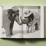 Книга в подарок творческий путь Брюса Вебера Bruce Weber. My Education варинант исполнения - 6 | Loft Concept в Брянске