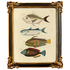 Постер в багетной раме Seabed Print