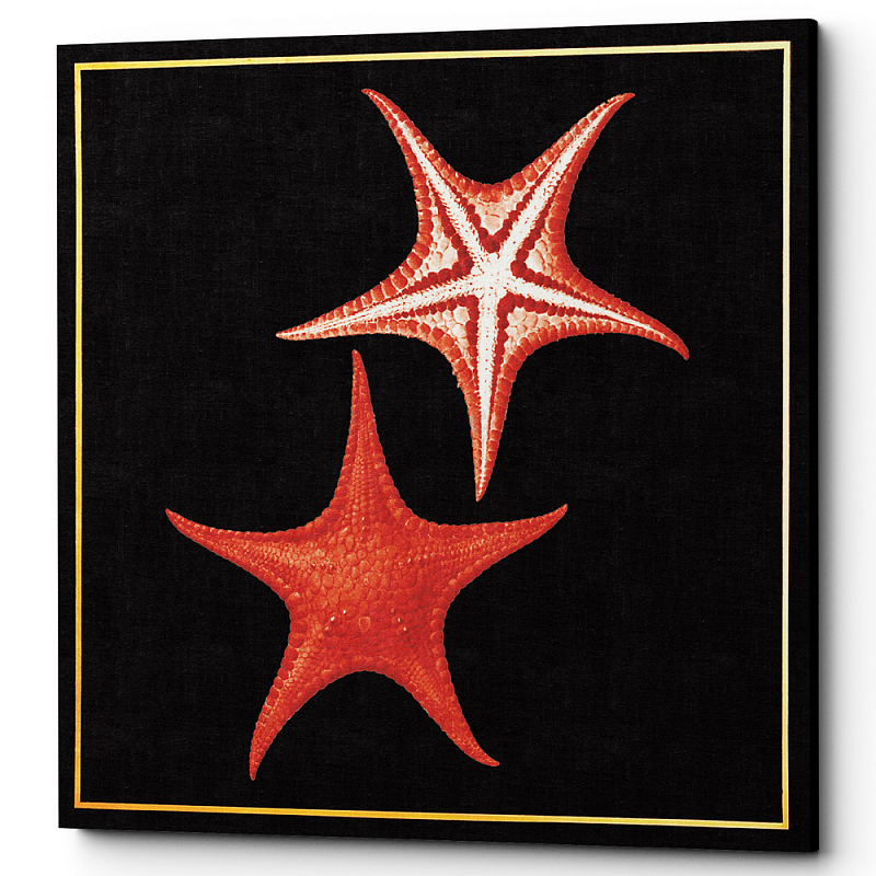 Постер Sea Stars Poster Черный Красный Постер Sea Stars Poster Черный Красный в Брянске | Loft Concept
