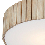 Потолочный светильник круглый светодиодный Contrasting Elements варинант исполнения - 1 | Loft Concept в Брянске