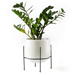 Кашпо из керамики Elevated Planters 32 варинант исполнения - 11 | Loft Concept в Брянске