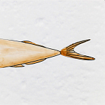 Плитка с узором Рыба Русалка варинант исполнения - 6 | Loft Concept в Брянске