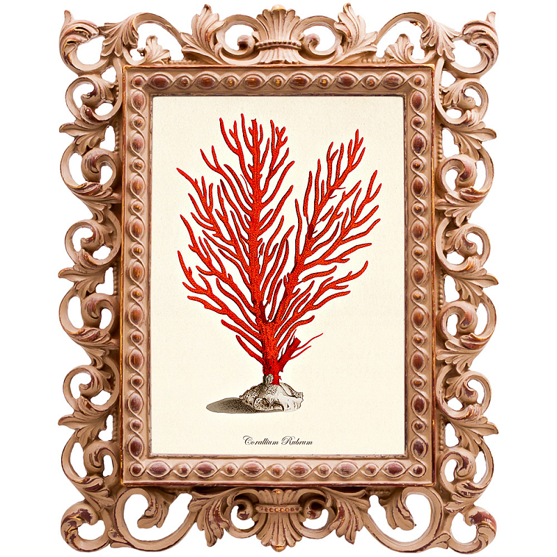 Постер Red Coral Poster 1 Бежевый Красный Постер Red Coral Poster 1 Бежевый Красный в Брянске | Loft Concept