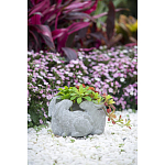 Кашпо A collection of baby rabbits варинант исполнения - 9 | Loft Concept в Брянске