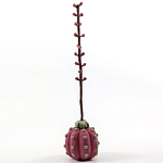 Статуэтка тропический фрукт Pandora Tropical Fruit Tall Pink Green варинант исполнения - 3 | Loft Concept в Брянске