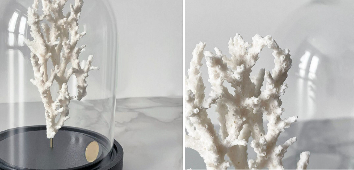 Статуэтка White Coral Glass Cloche Статуэтка White Coral Glass Cloche - Loft-Concept в Брянске