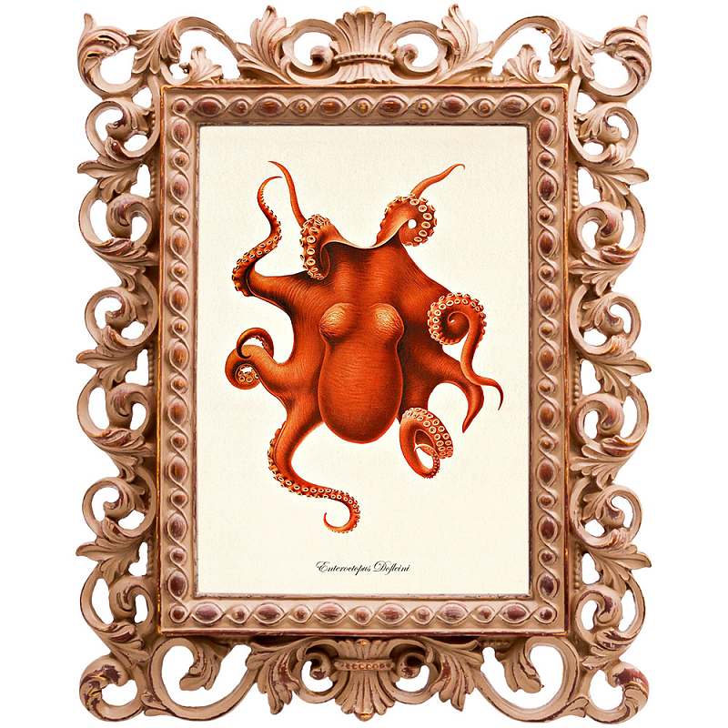 Постер Red Octopus Poster Бежевый Красный Постер Red Octopus Poster Бежевый Красный в Брянске | Loft Concept