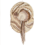 Овальный Современный Гобелен Абстракция в бежевых тонах Shallow варинант исполнения - 7 | Loft Concept в Брянске