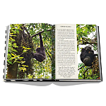 Подарочнный коллекционный фото альбом AFRICAN ADVENTURES NEW 2023 ASSOULINE HC UNBELIEVABLE ILLUSTRATIONS Safari варинант исполнения - 8 | Loft Concept в Брянске