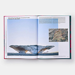 Radical Architecture of the Future варинант исполнения - 4 | Loft Concept в Брянске