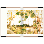 Подарочный Фотоальбом Matthew Rolston Beauty light 2006 варинант исполнения - 8 | Loft Concept в Брянске