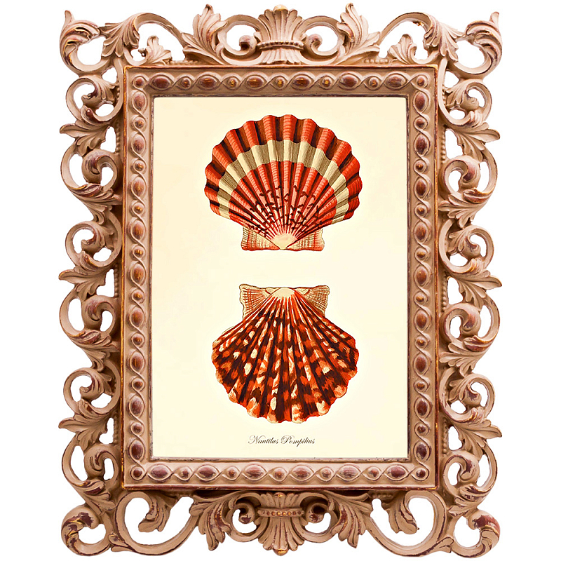 Постер Red Scallop Poster Бежевый Красный в Брянске | Loft Concept 