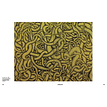 Редкое подарочное издание Yayoi Kusama: 1945 to Now варинант исполнения - 7 | Loft Concept в Брянске