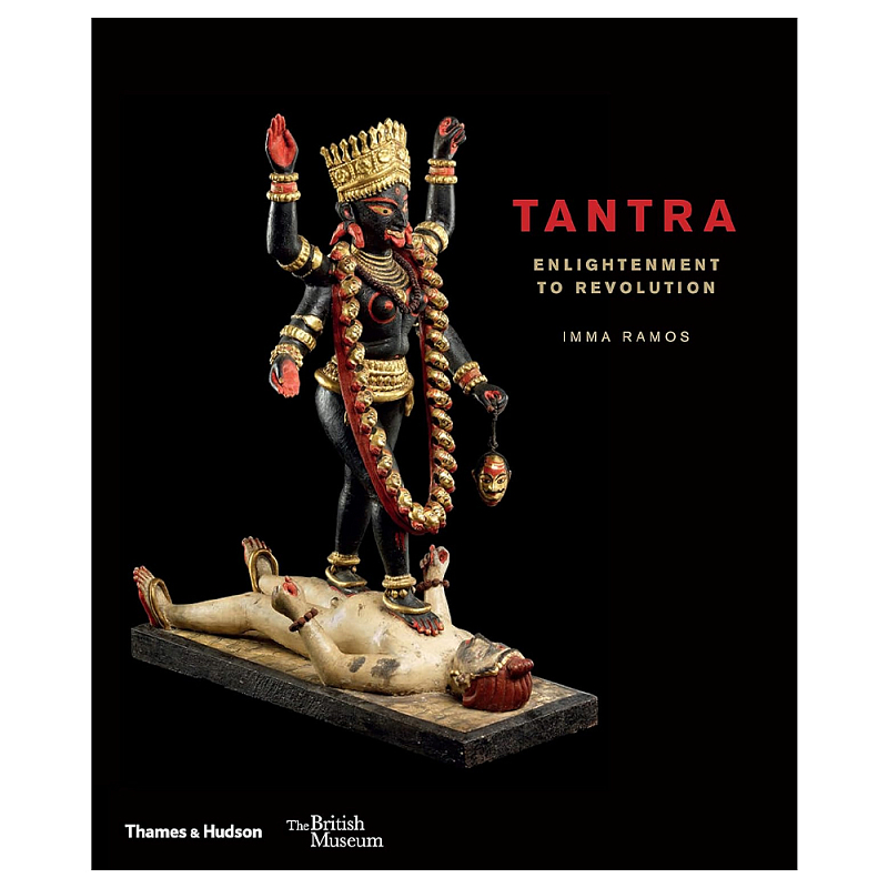 Книга Tantra: Enlightenment to Revolution Книга Tantra: Enlightenment to Revolution в Брянске | Loft Concept