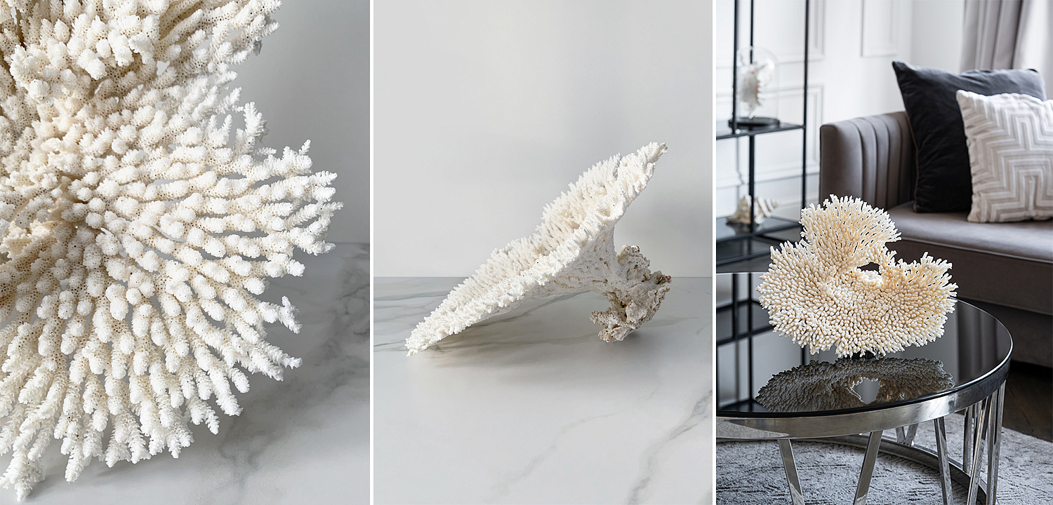 Статуэтка Table Coral Статуэтка Table Coral - Loft-Concept в Брянске