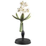 Статуэтка Wonderboom варинант исполнения - 1 | Loft Concept в Брянске