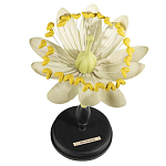 Статуэтка Tilia варинант исполнения - 1 | Loft Concept в Брянске