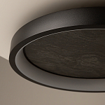 Потолочный светильник Orign 3000К варинант исполнения - 5 | Loft Concept в Брянске