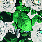 Штора Seletti Roses варинант исполнения - 1 | Loft Concept в Брянске