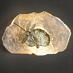 Бра Декоративный лист с стрекозой Glacial Fragment варинант исполнения - 2 | Loft Concept в Брянске