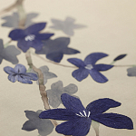 Обои ручная роспись Cherry Tree Original colourway on Stone Ochre dyed silk варинант исполнения - 3 | Loft Concept в Брянске