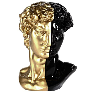 Аксессуар голова Давида Black & Gold