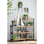 Кашпо Curly baby варинант исполнения - 4 | Loft Concept в Брянске