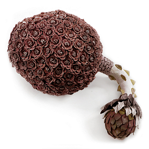 Коричневый фрукт Exotic Fruit Artichoke Brown 42