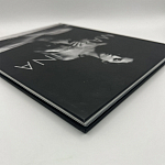 Коллекционная редкая книга Madonna: Nudes + by Martin H.M. Schreiber 2017 Букинистика варинант исполнения - 4 | Loft Concept в Брянске