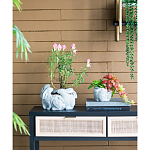 Кашпо A collection of baby rabbits варинант исполнения - 5 | Loft Concept в Брянске