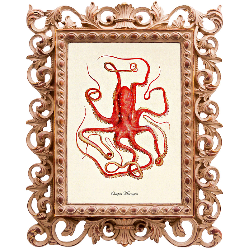 Постер Red Squid Poster Бежевый Красный Постер Red Squid Poster Бежевый Красный в Брянске | Loft Concept