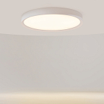 Потолочный светильник Incognito 2700-4000К 46Вт варинант исполнения - 2 | Loft Concept в Брянске